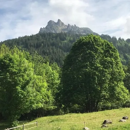 Dent D'oche * Бернекс