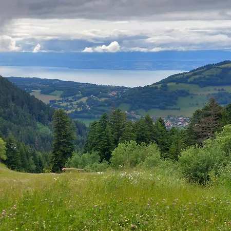 Dent D'oche *