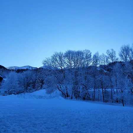 Dent D'oche Бернекс