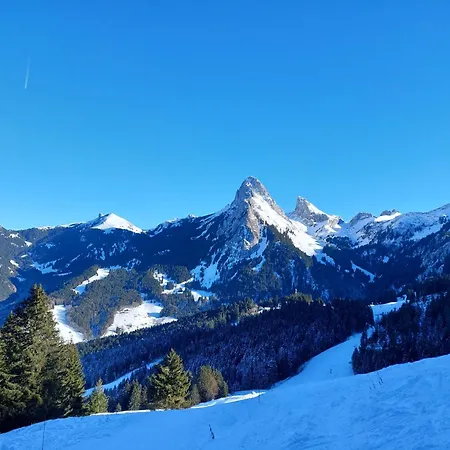 Dent D'oche * بيرنيكس
