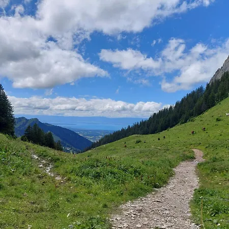 شقة Dent D'oche