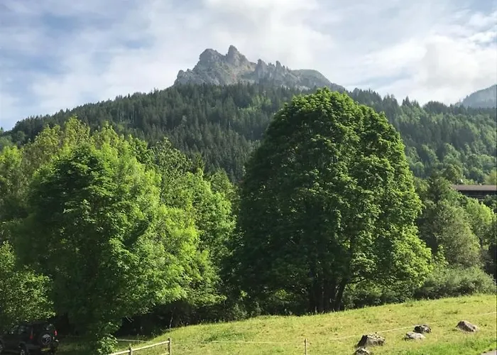 Dent D'oche * بيرنيكس