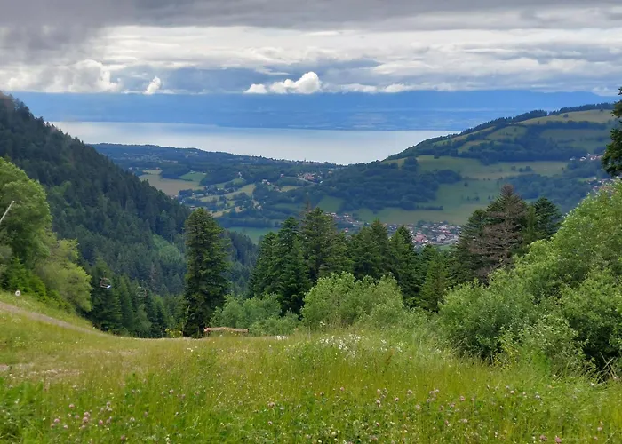 Dent D'oche *