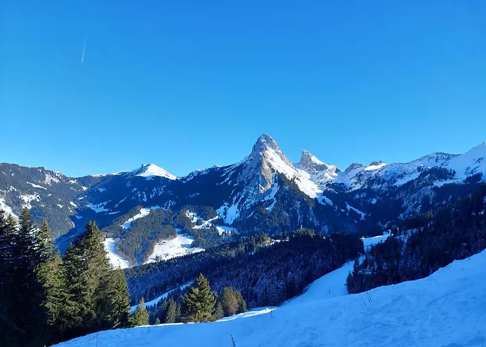 Dent D'oche * بيرنيكس