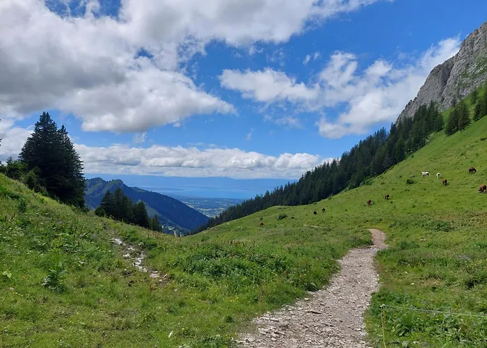 شقة Dent D'oche
